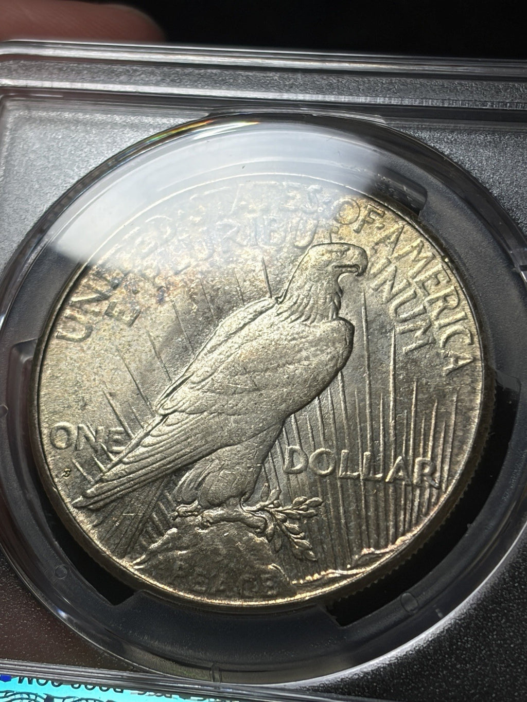 1925-S Peace Dollar PCGS MS64+ / ANACS MS65/65 Ex. Photograde