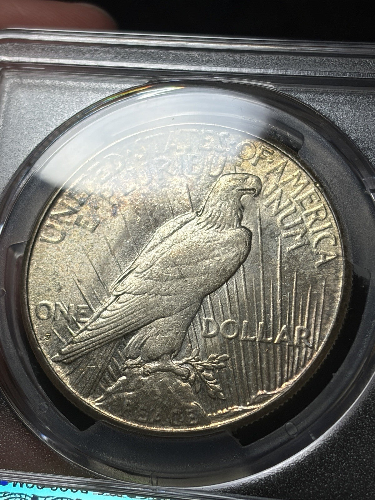 1925-S Peace Dollar PCGS MS64+ / ANACS MS65/65 Ex. Photograde