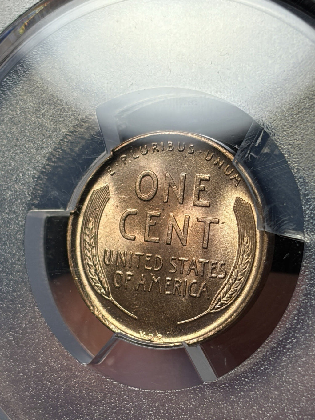 1909 VDB PCGS MS66 RD CAC Lincoln Wheat Cent Nice Coin