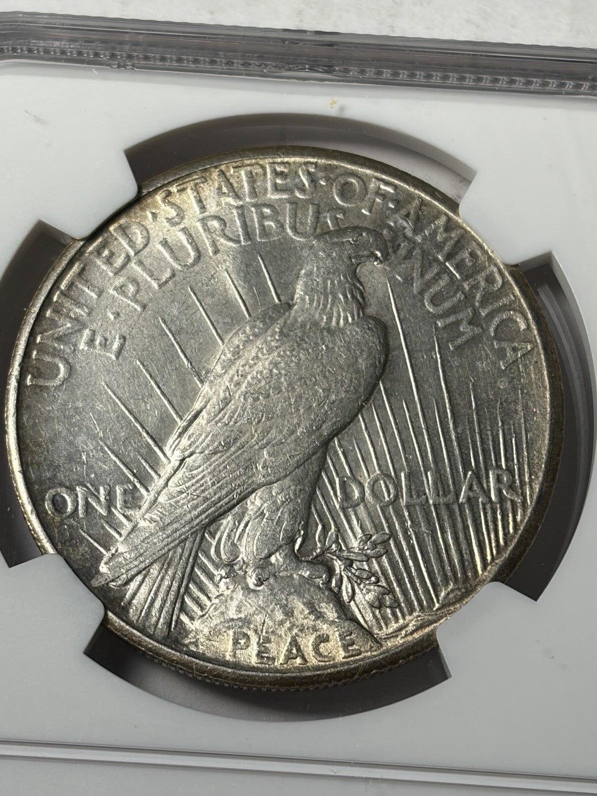 1926 NGC UNC Details Peace Silver Dollar