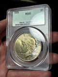 1926 CACG MS65 Peace Silver Dollar Toned Nicely