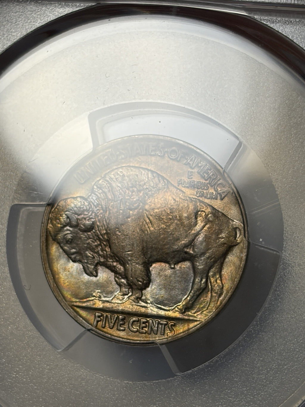 1919 PCGS MS64 Buffalo Nickel Toned