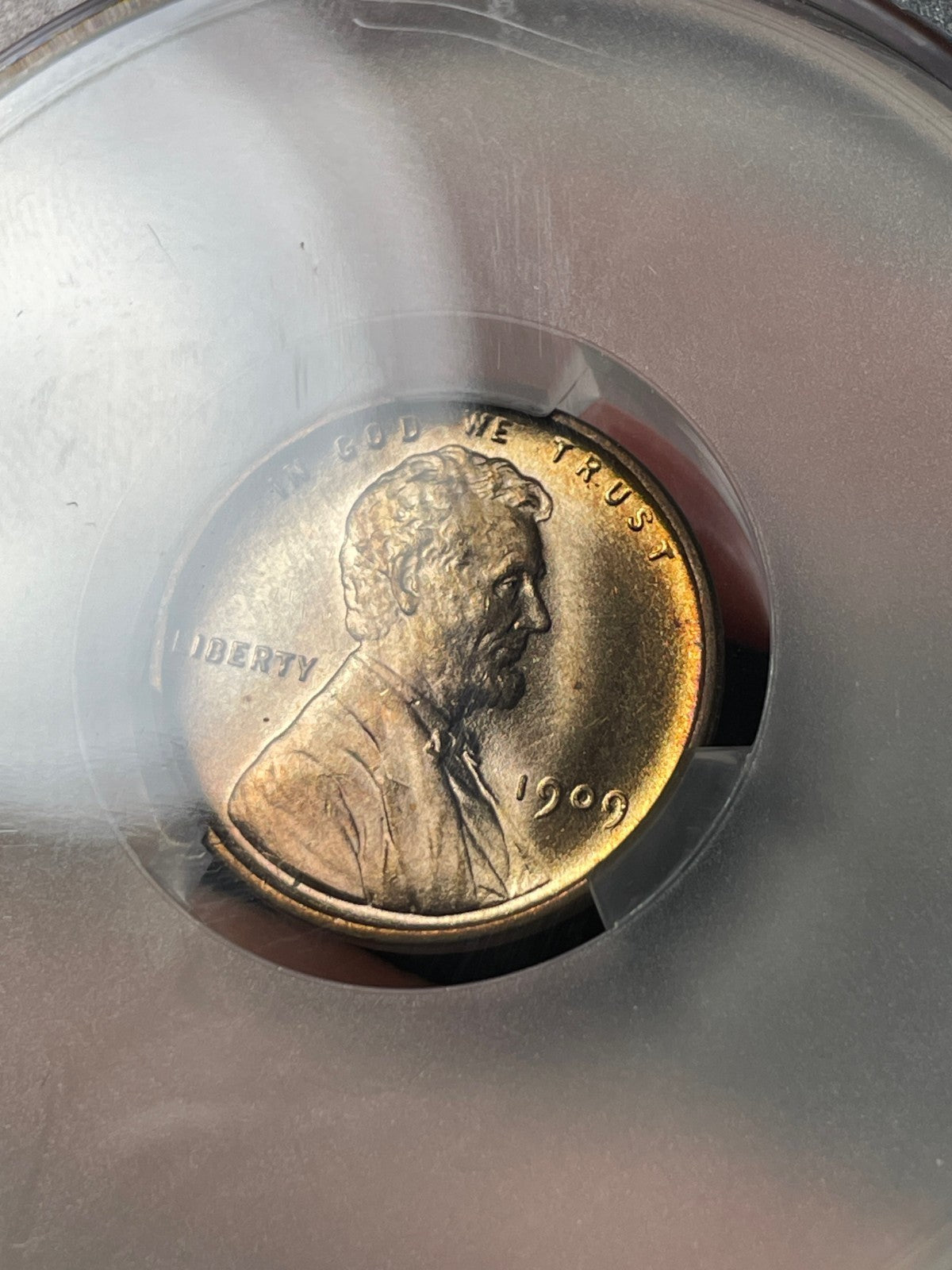 1909 VDB CACG MS66 RD Lincoln Wheat Cent Nice Coin