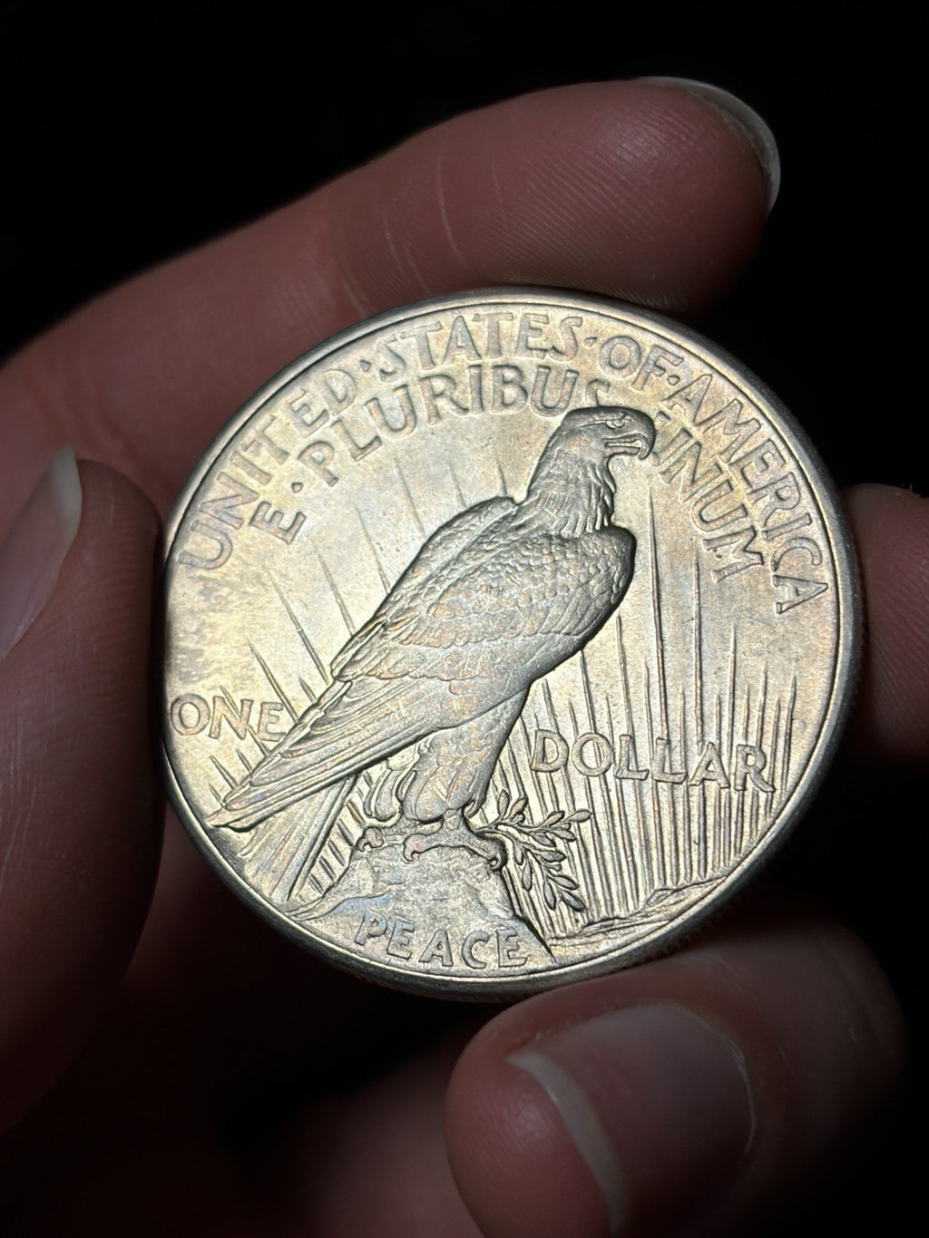 1921 Peace Silver Dollar