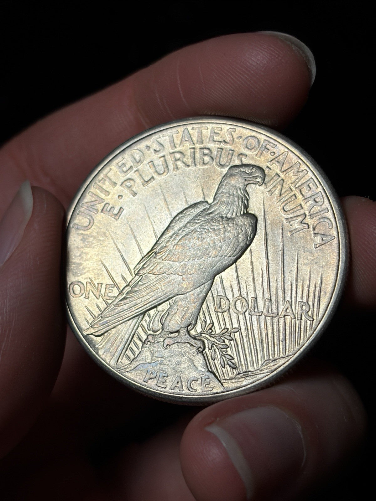1921 Peace Silver Dollar