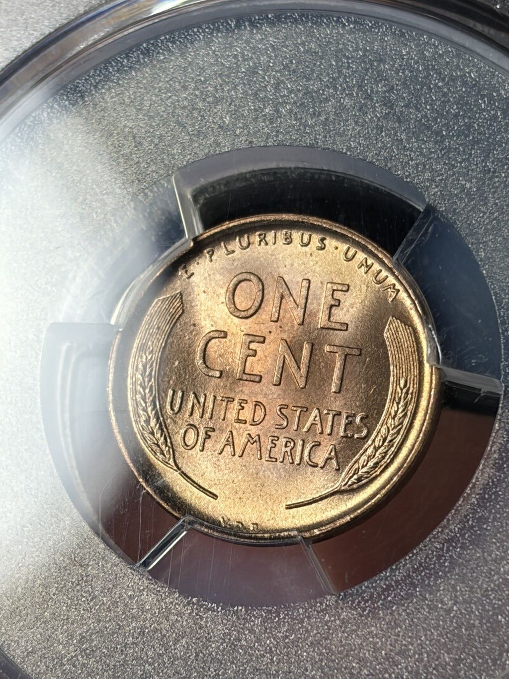 1909 VDB PCGS MS66 RD CAC Lincoln Wheat Cent Nice Coin