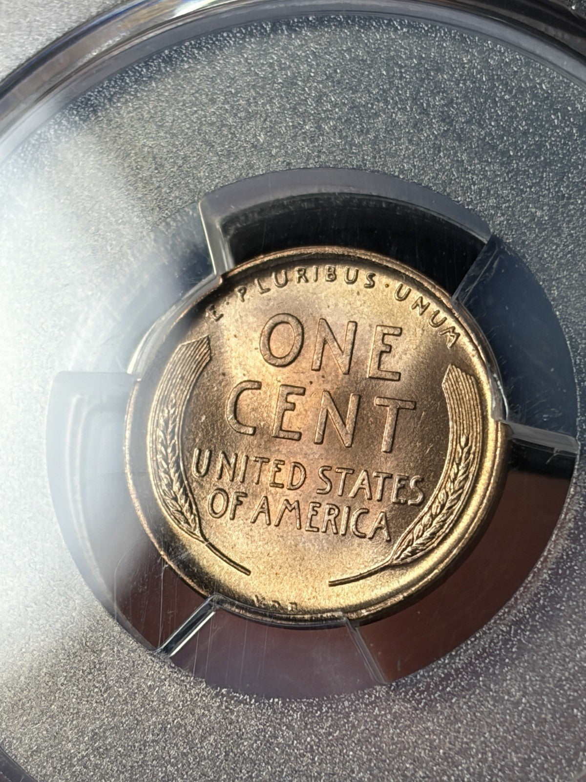 1909 VDB PCGS MS66 RD CAC Lincoln Wheat Cent Nice Coin