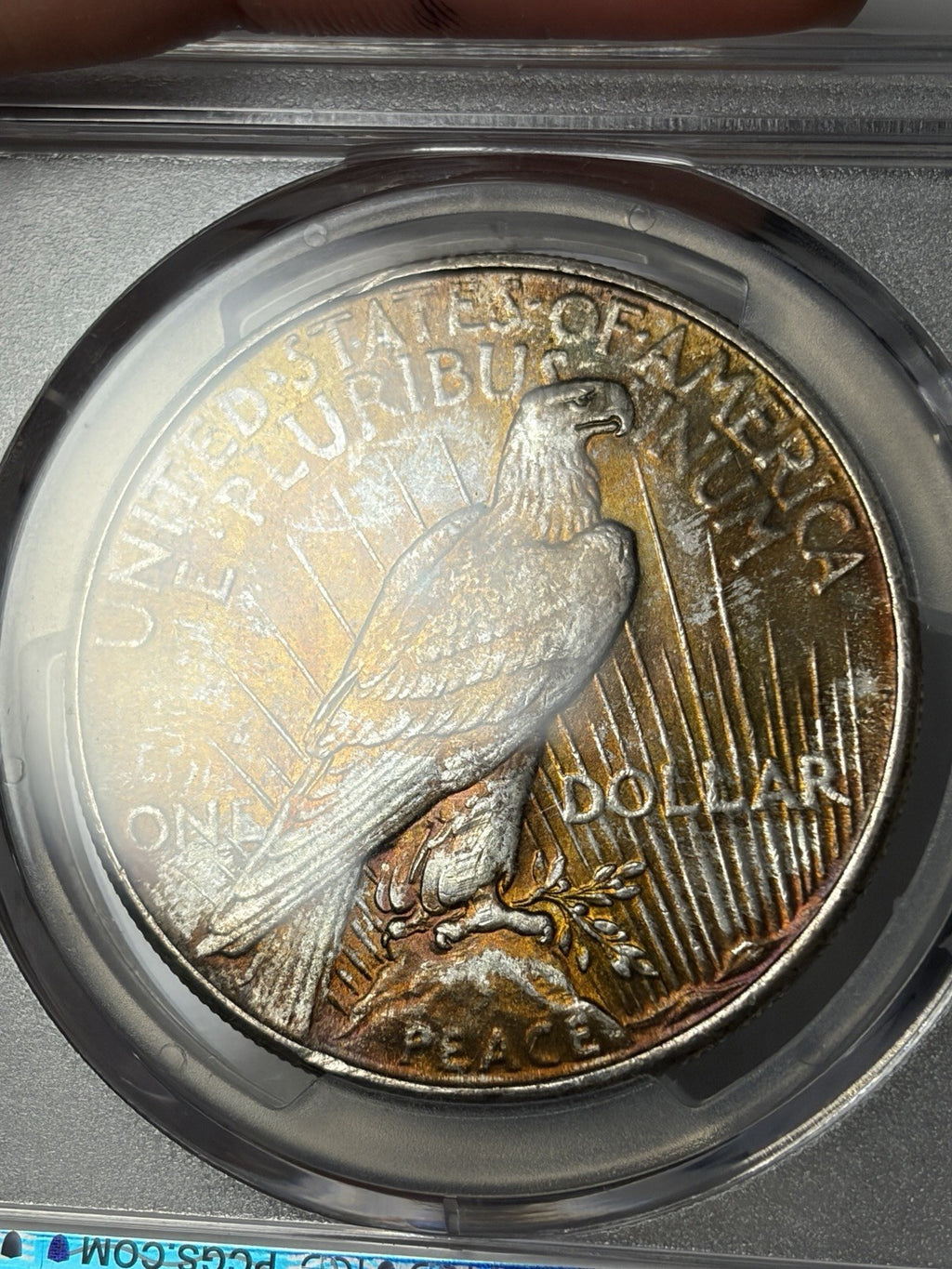 1934 PCGS MS66 Peace Silver Dollar Toned