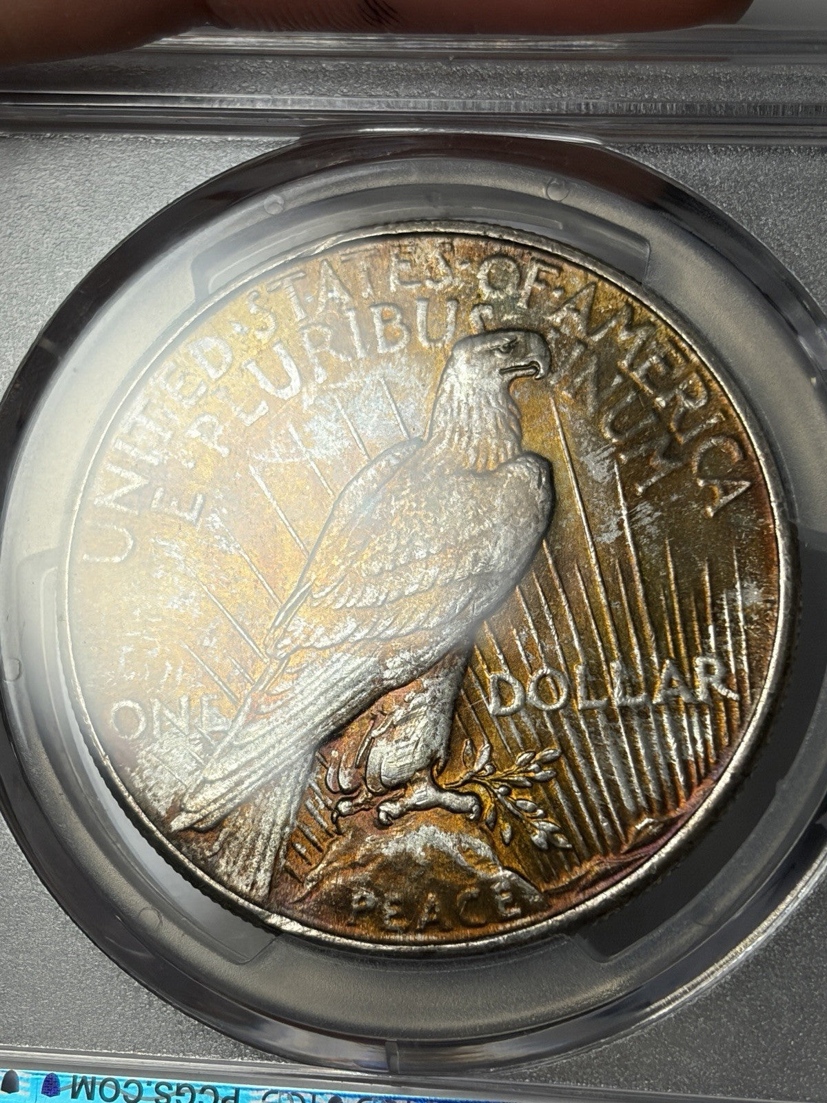 1934 PCGS MS66 Peace Silver Dollar Toned