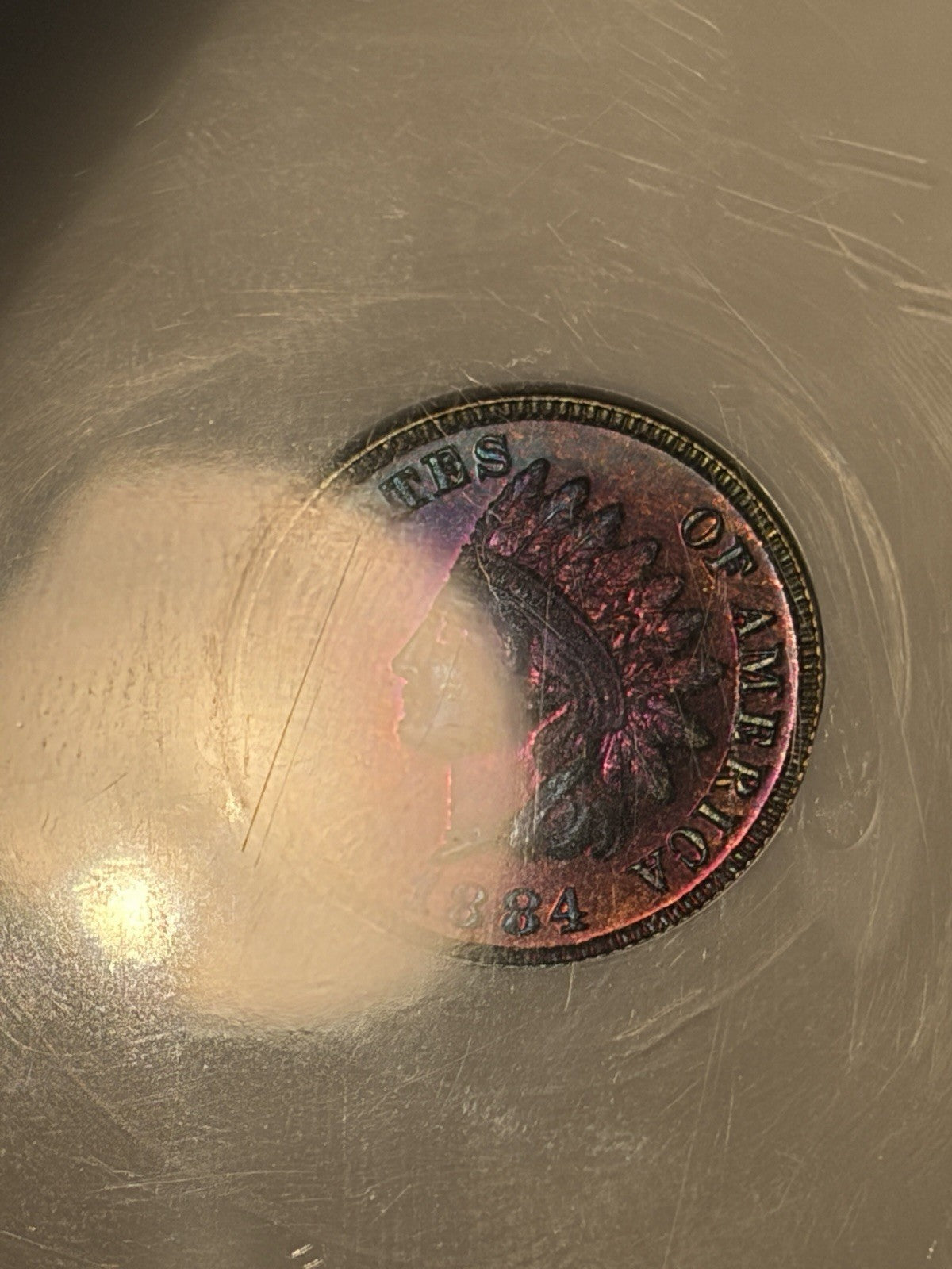 1884 NGC PF67 BN Indian Head Cent Eagle Eye Proof