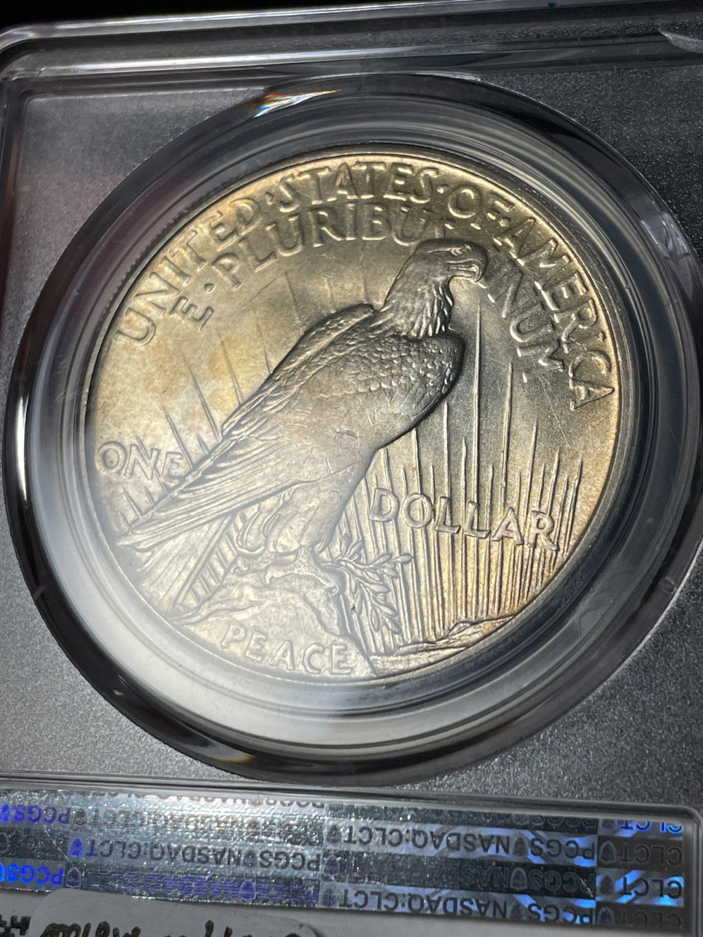 1921 PCGS MS64 Peace Silver Dollar Key Date Toned