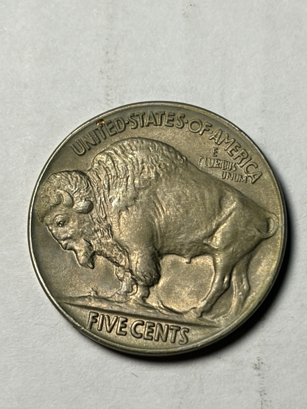 1925 Buffalo Nickel