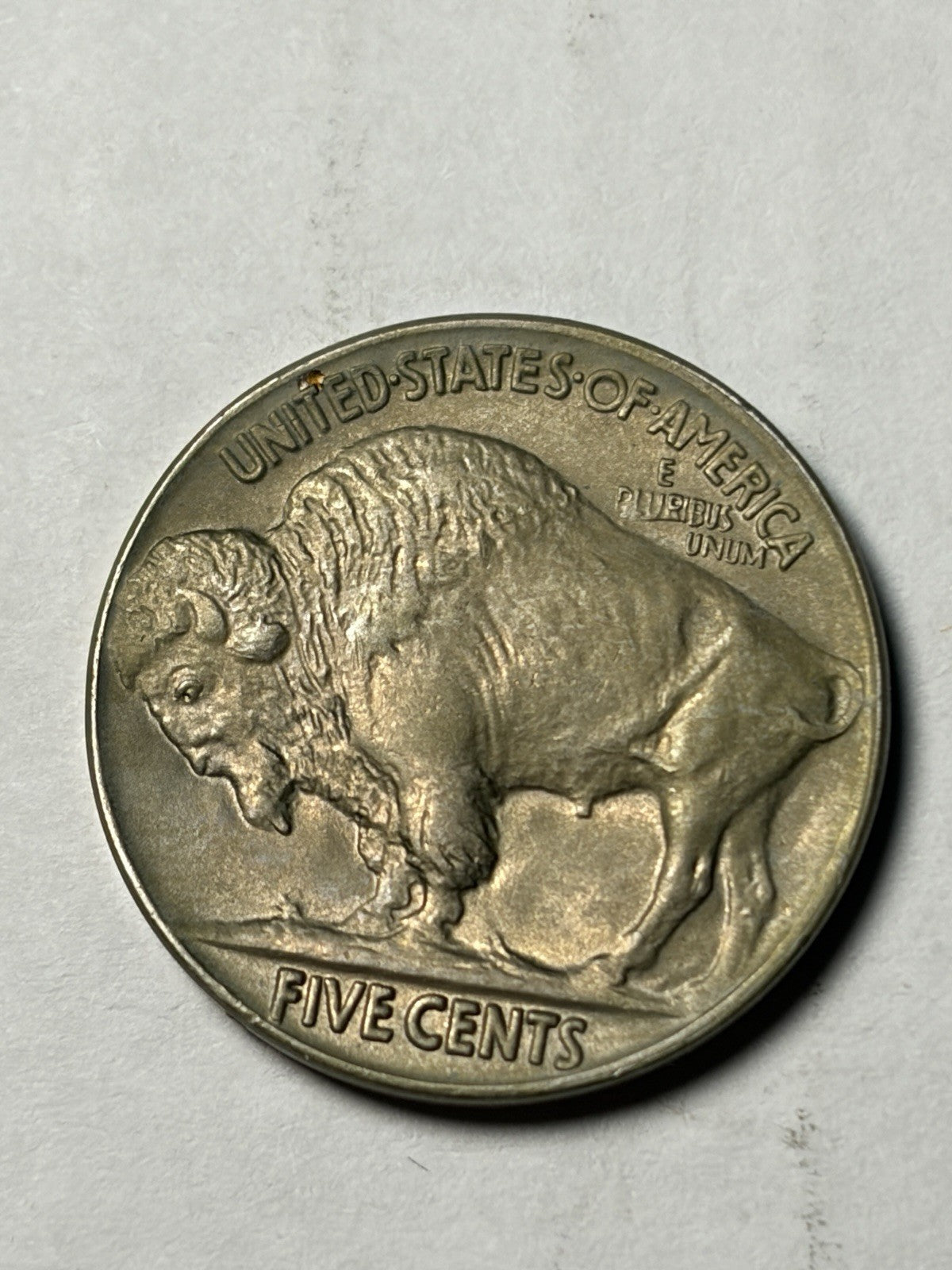 1925 Buffalo Nickel