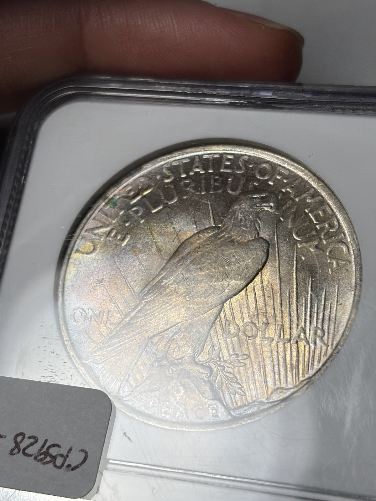 1923 NGC MS63 Peace Silver Dollar Toned RARE