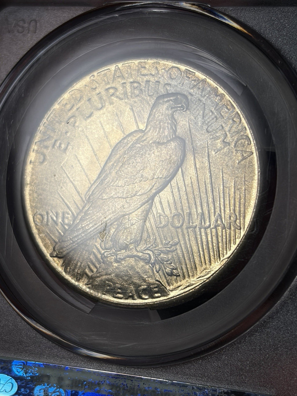 1926 CACG MS65 Peace Silver Dollar Toned Nicely