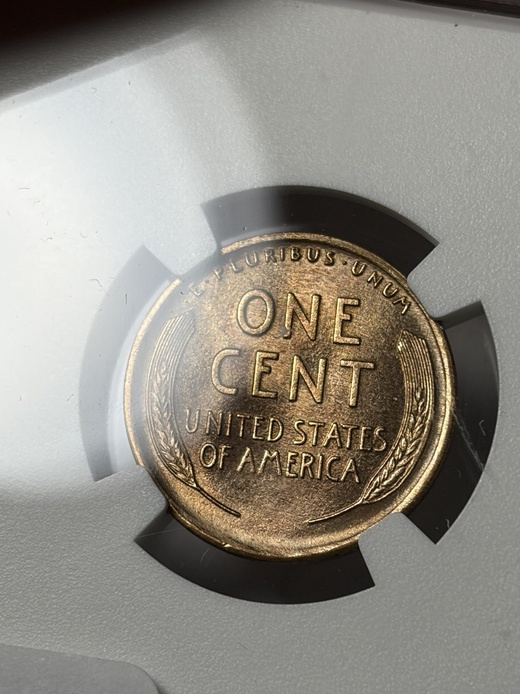 1910-S NGC UNC Details Lincoln Wheat Cent
