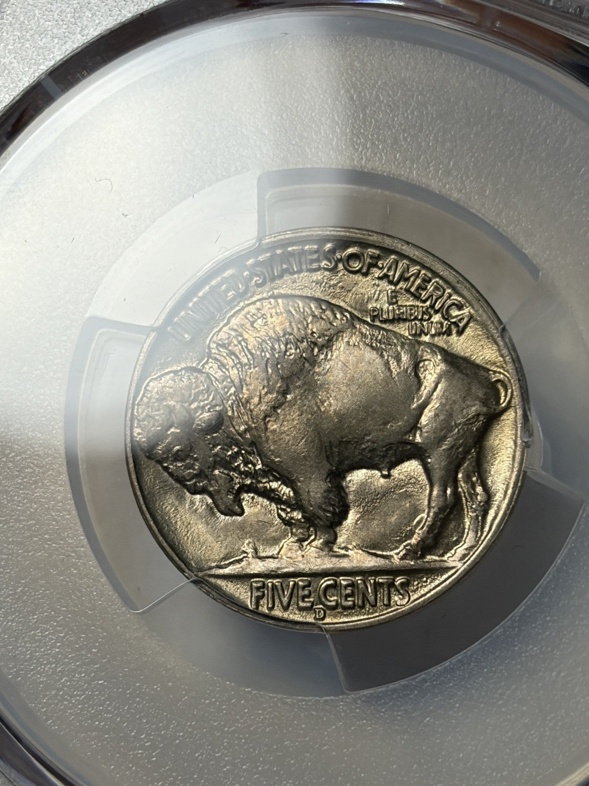 1916-D PCGS MS65 Buffalo Nickel
