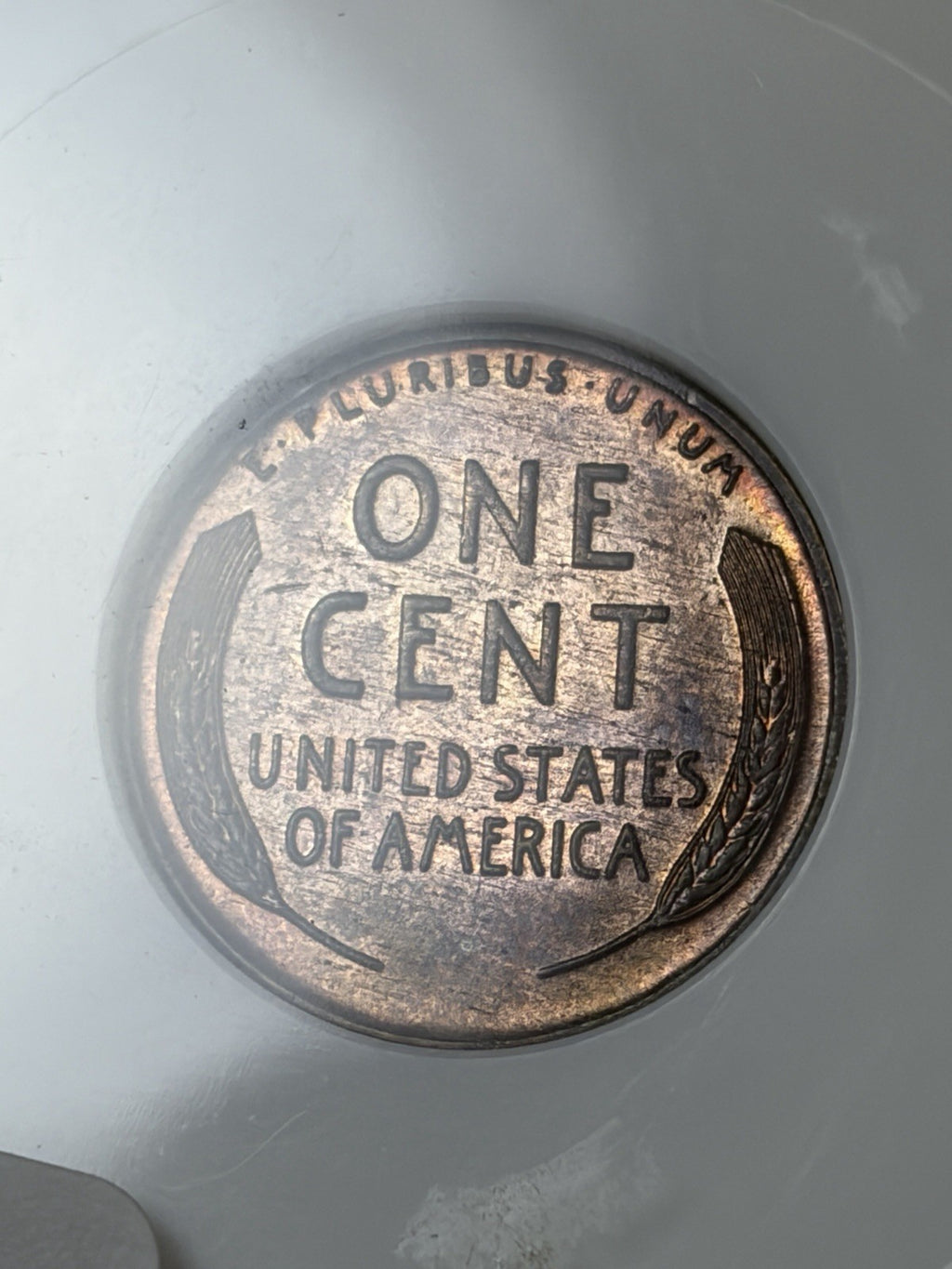 1955 NGC MS61 RB Double Die Obverse Old Fatty Holder