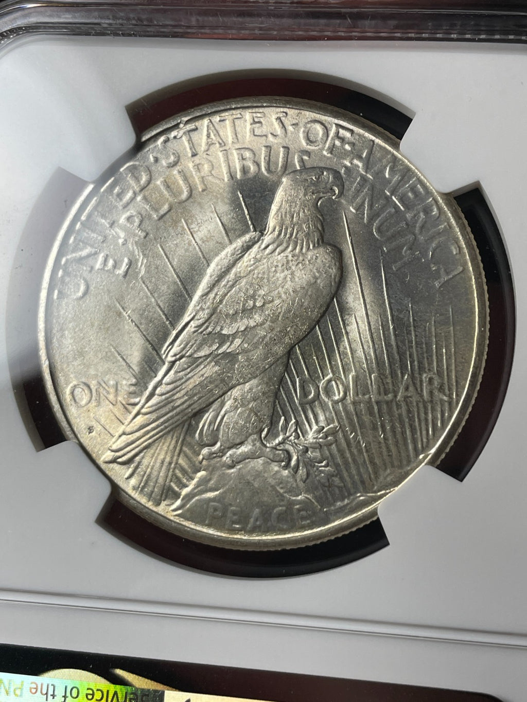 1925-S NGC MS62 CAC Peace Silver Dollar - EX. MS63 Tougher Date