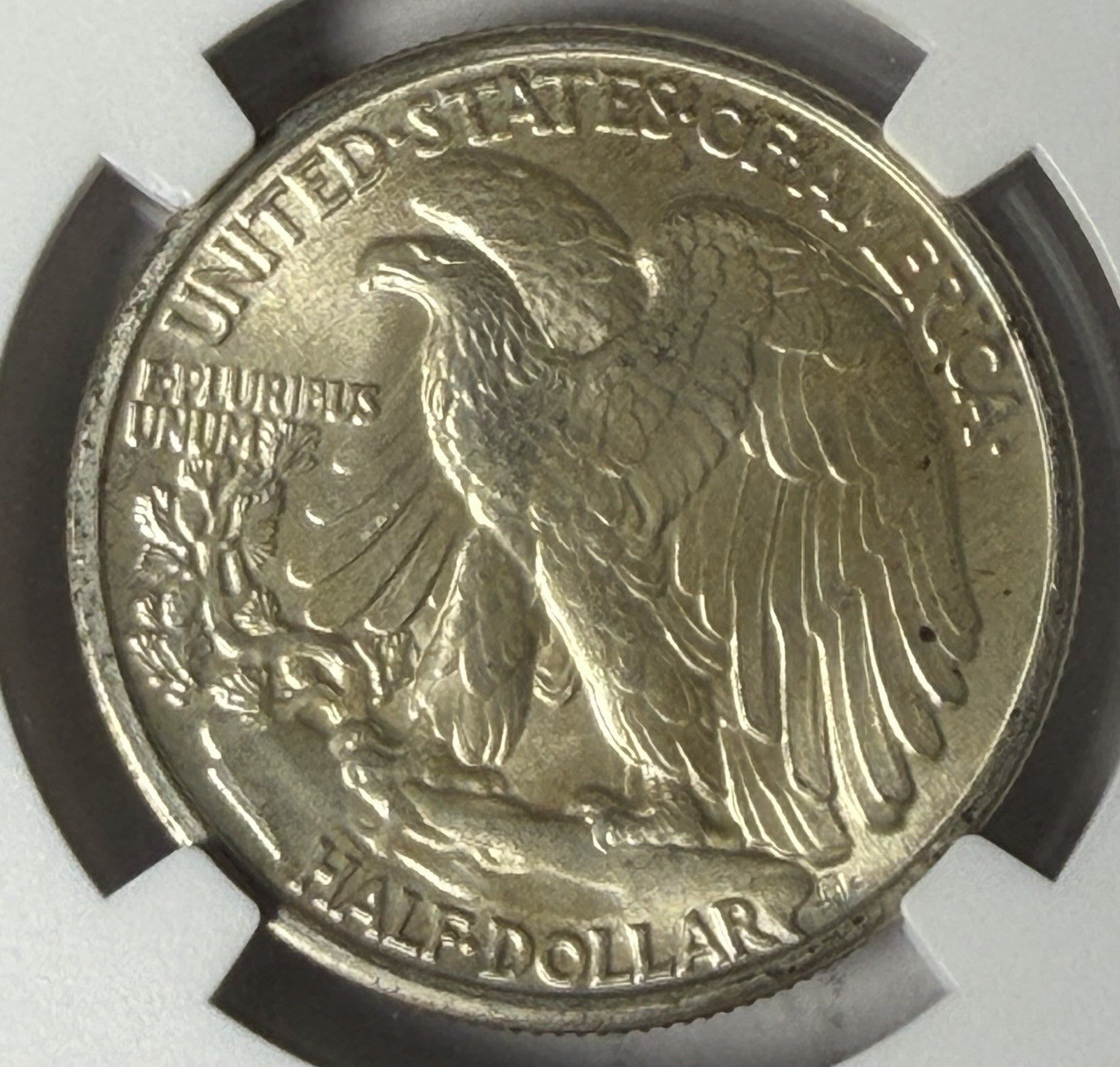 1939 NGC MS67 Walking Liberty Half Dollar
