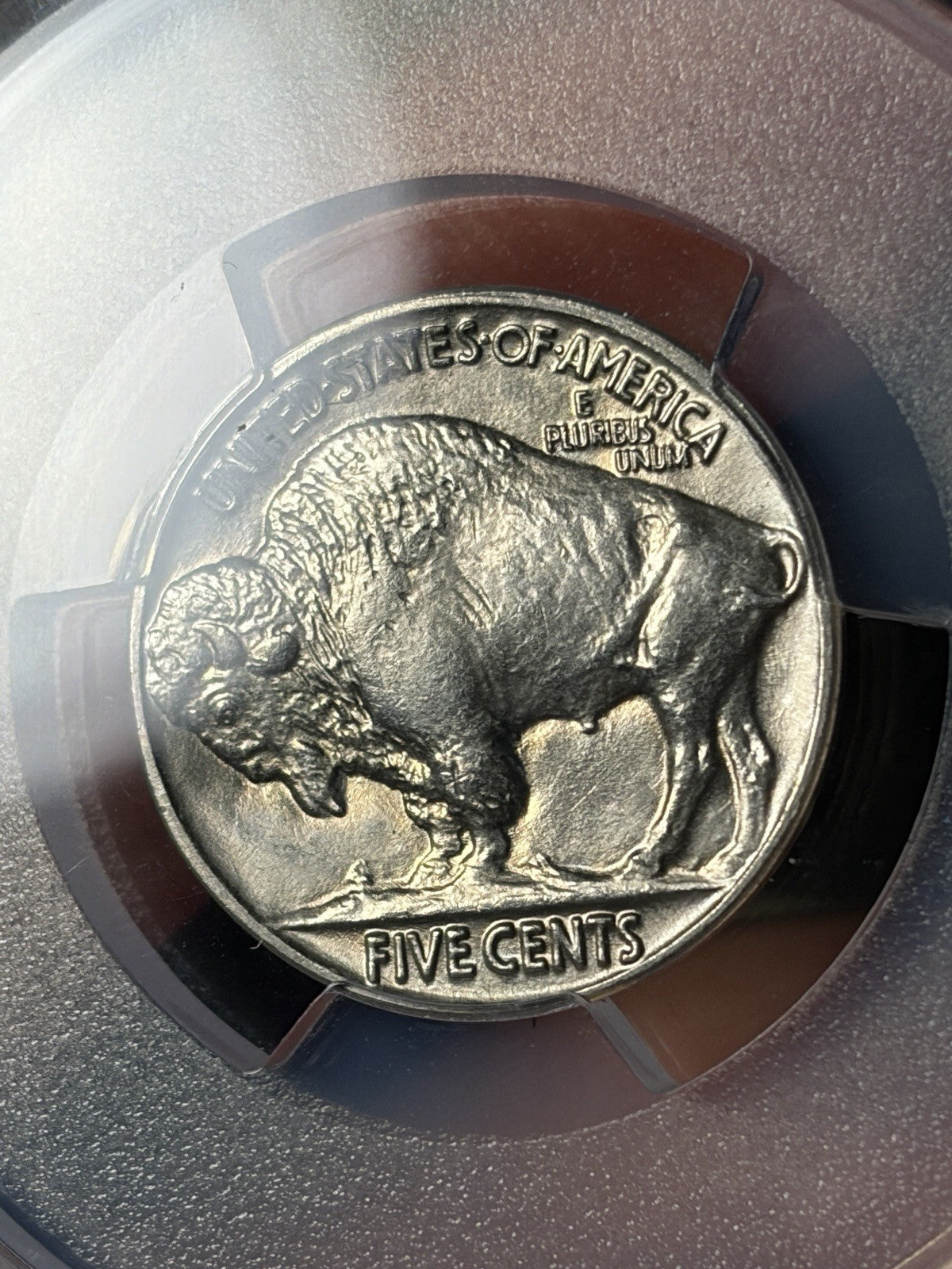 1934 PCGS MS65 Buffalo Nickel