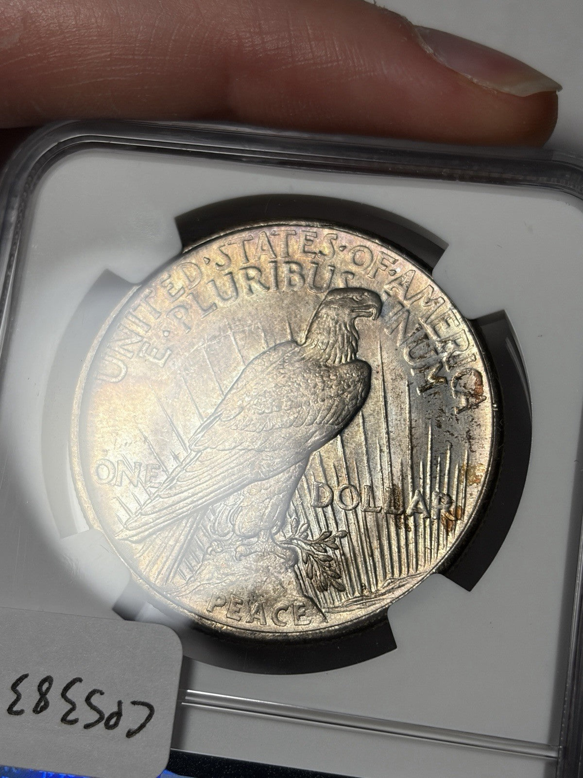 1921 NGC MS65 Peace Silver Dollar Toned Key Date