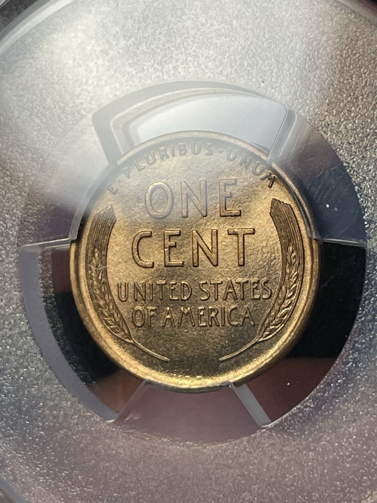 1909 VDB PCGS MS67 CAC Lincoln Wheat Cent