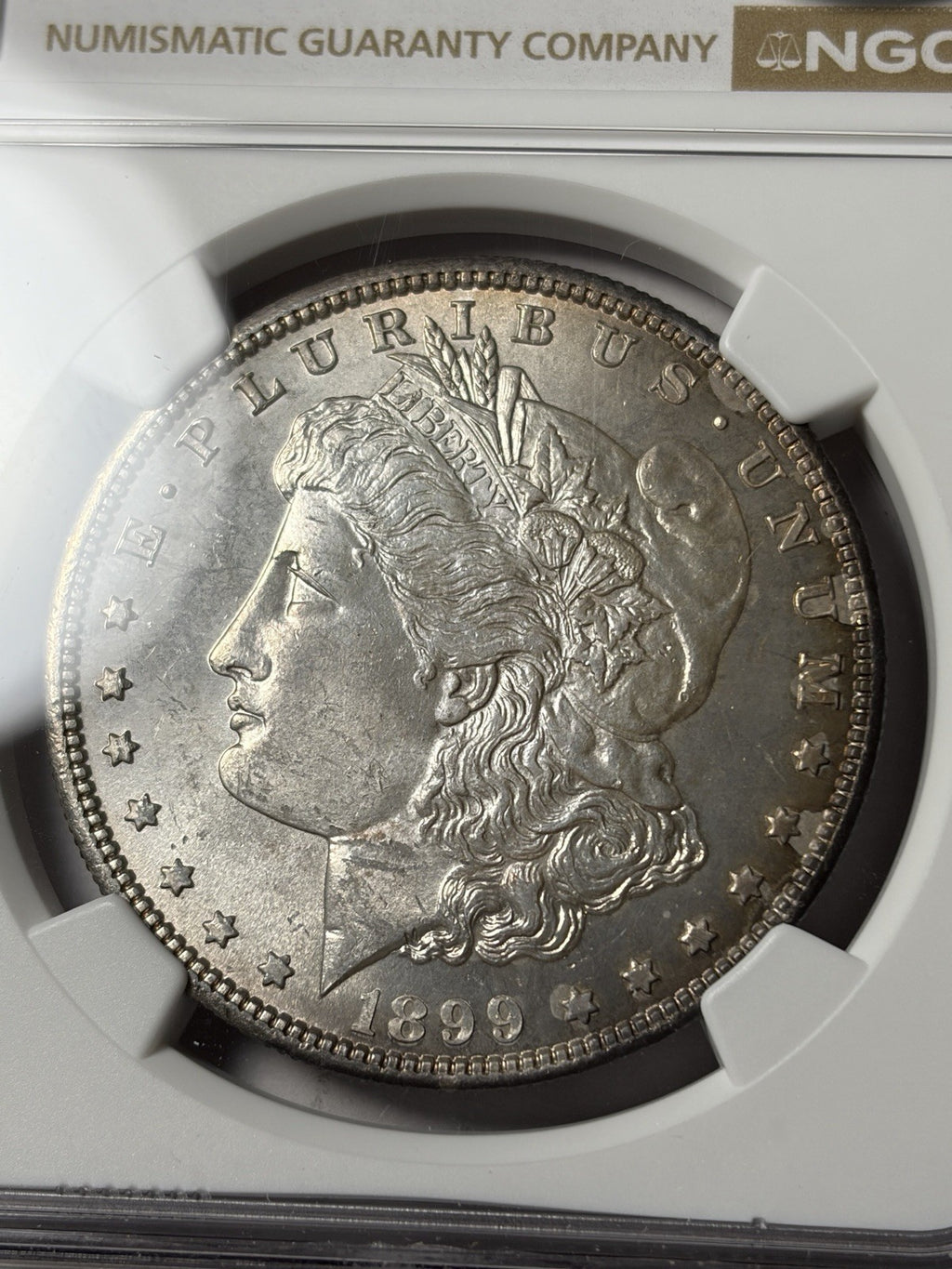 1899 NGC MS64 CAC Morgan Silver Dollar Toned