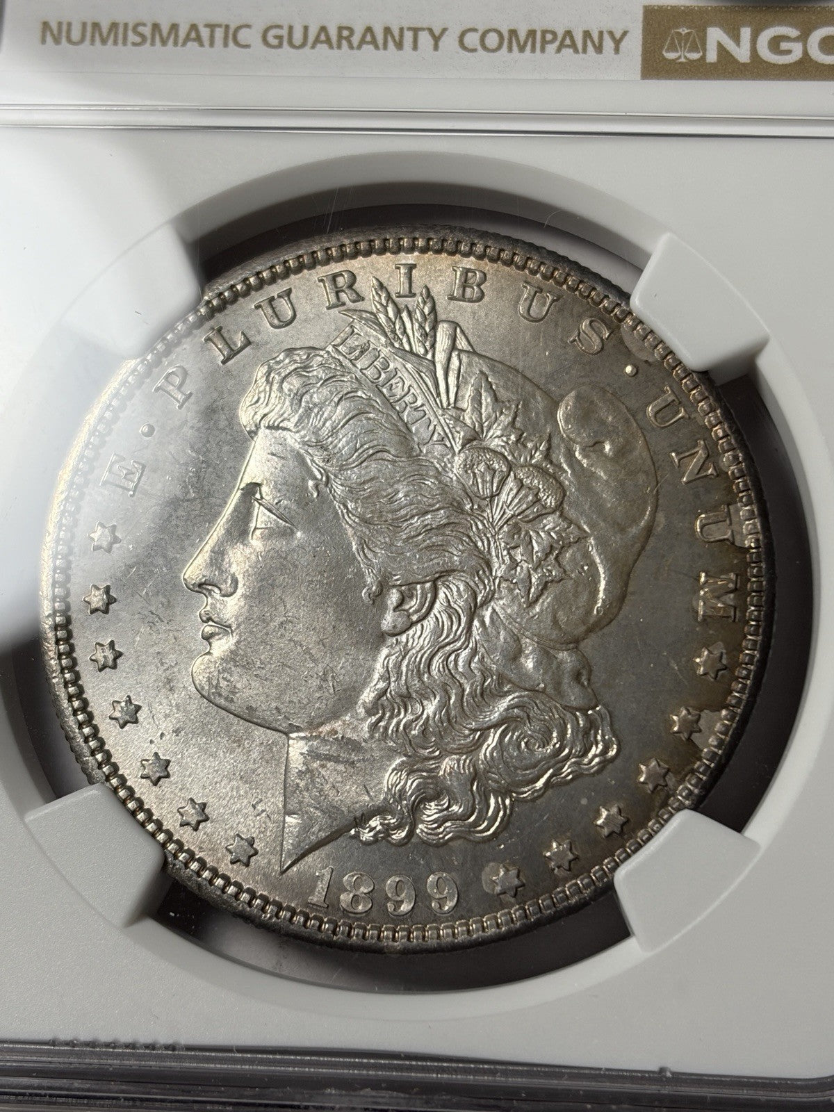 1899 NGC MS64 CAC Morgan Silver Dollar Toned