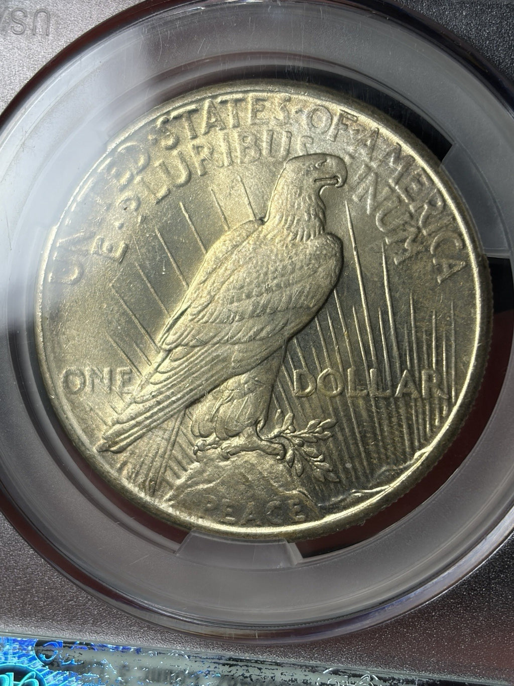 1926 CACG MS65 Peace Silver Dollar Toned Nicely