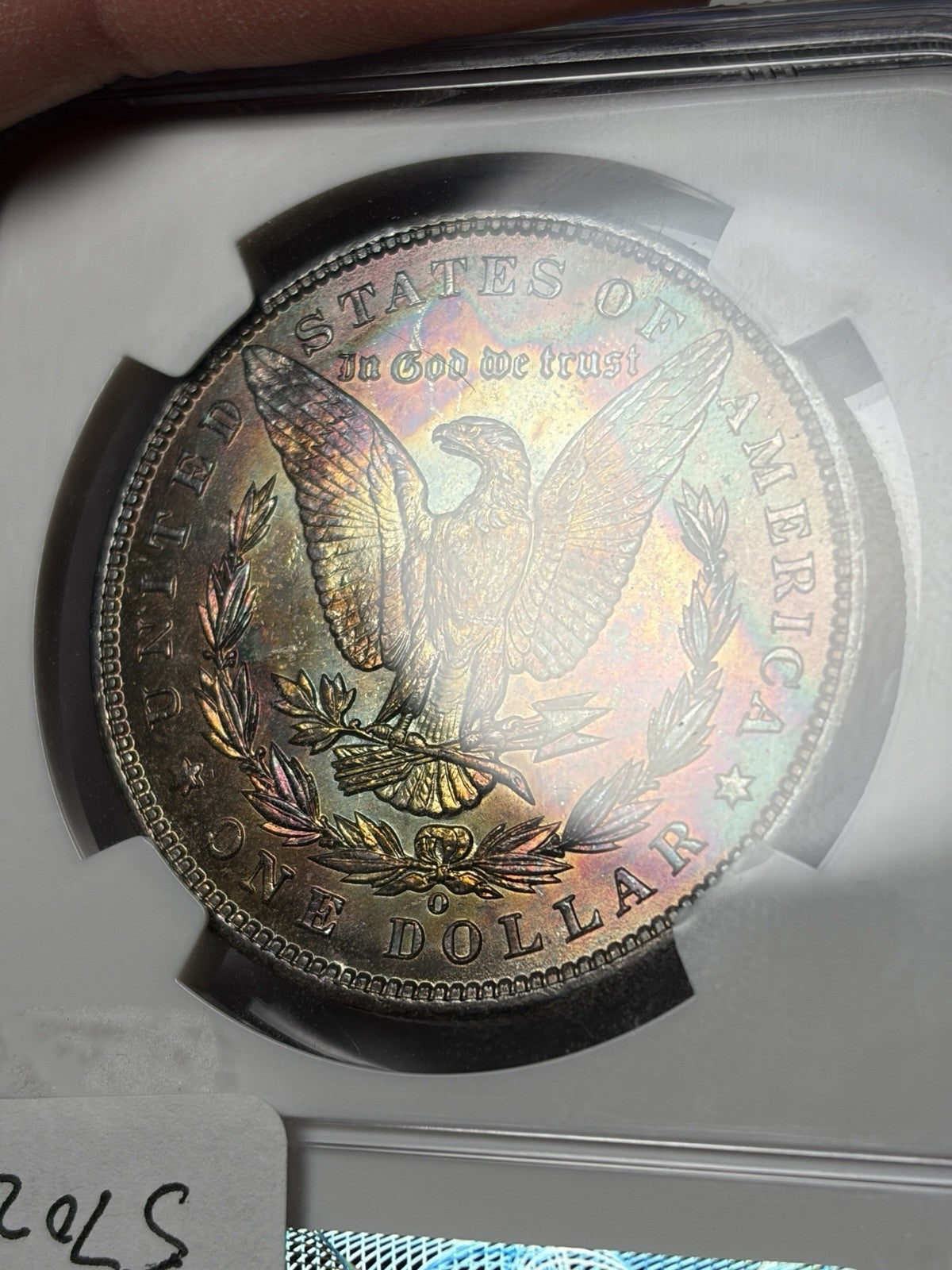 1901-O NGC MS64 Morgan Silver Dollar Reverse Toned End Roll Toner