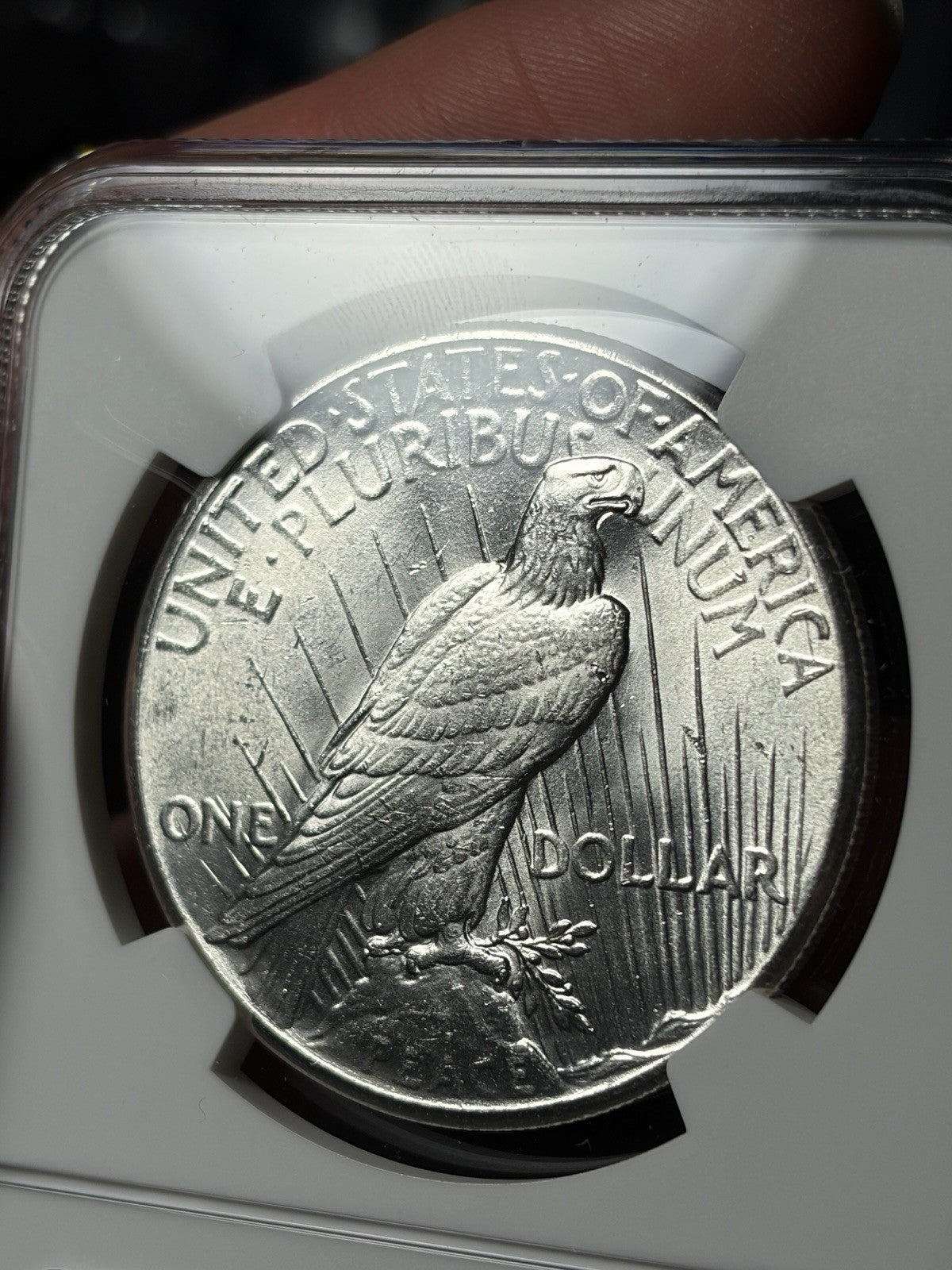 1928 NGC MS62 Peace Silver Dollar Key Date Blast White