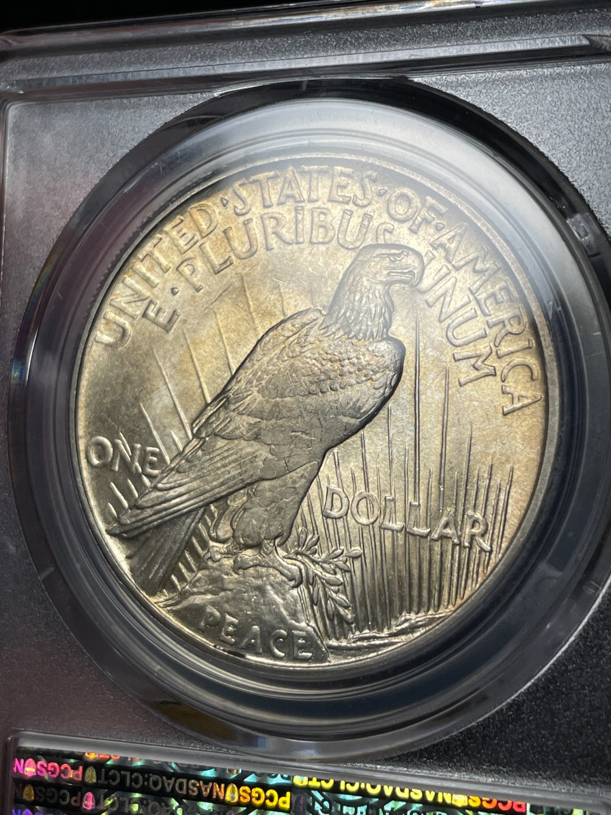 1921 PCGS MS64 Peace Silver Dollar Key Date Toned
