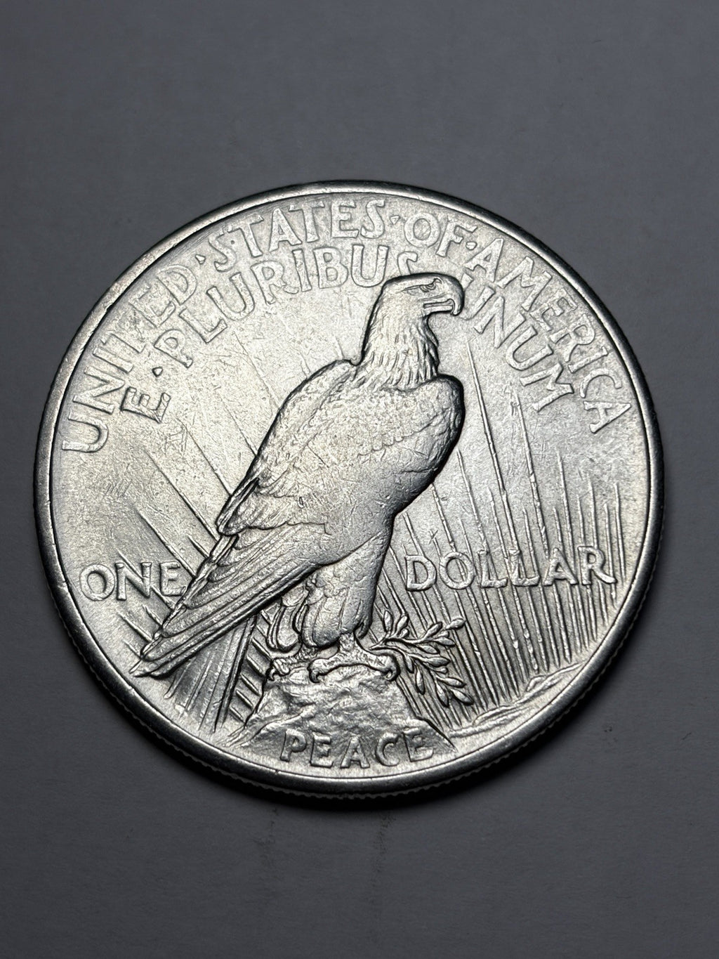 1921 Peace Silver Dollar Details