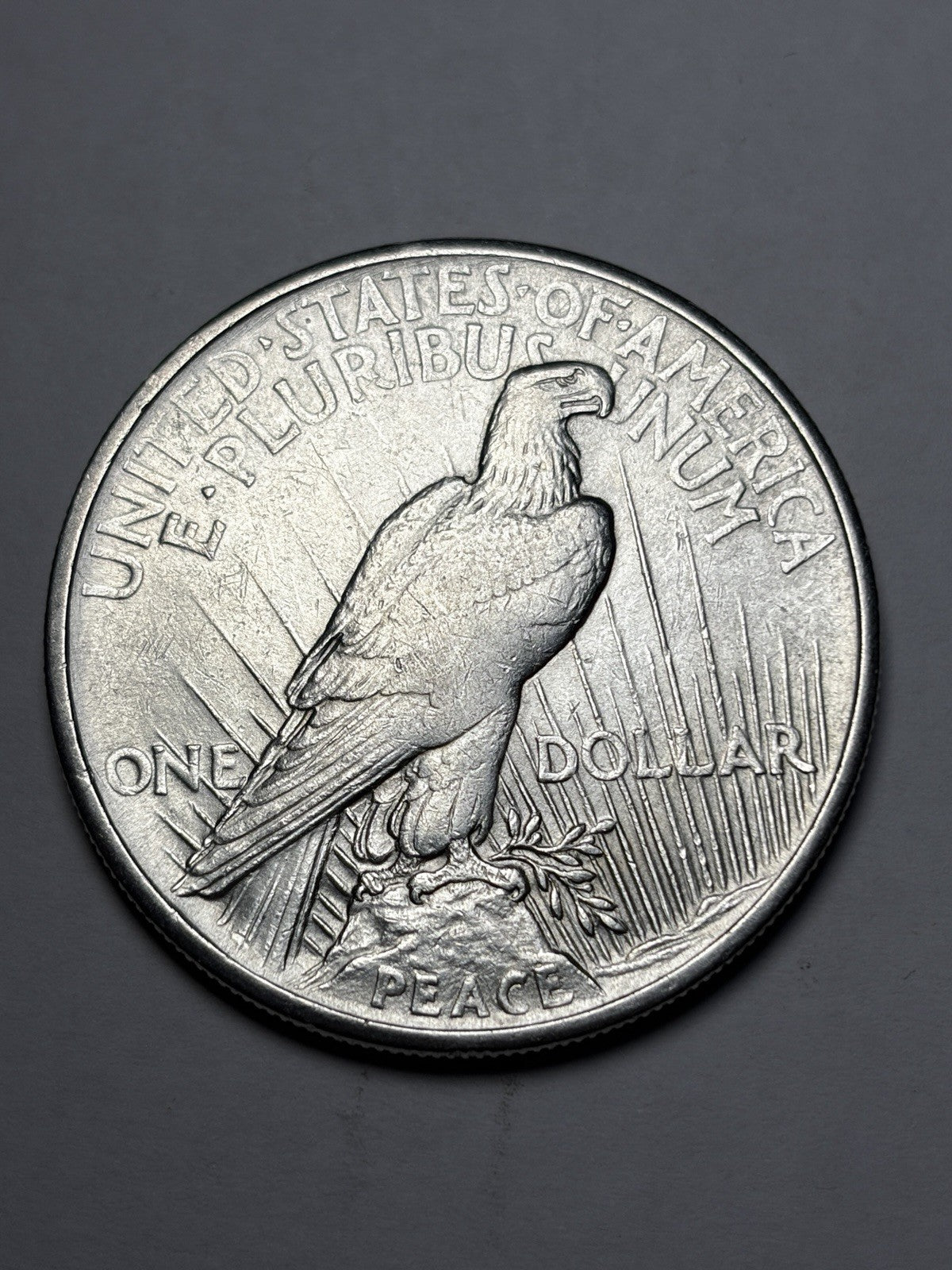 1921 Peace Silver Dollar Details