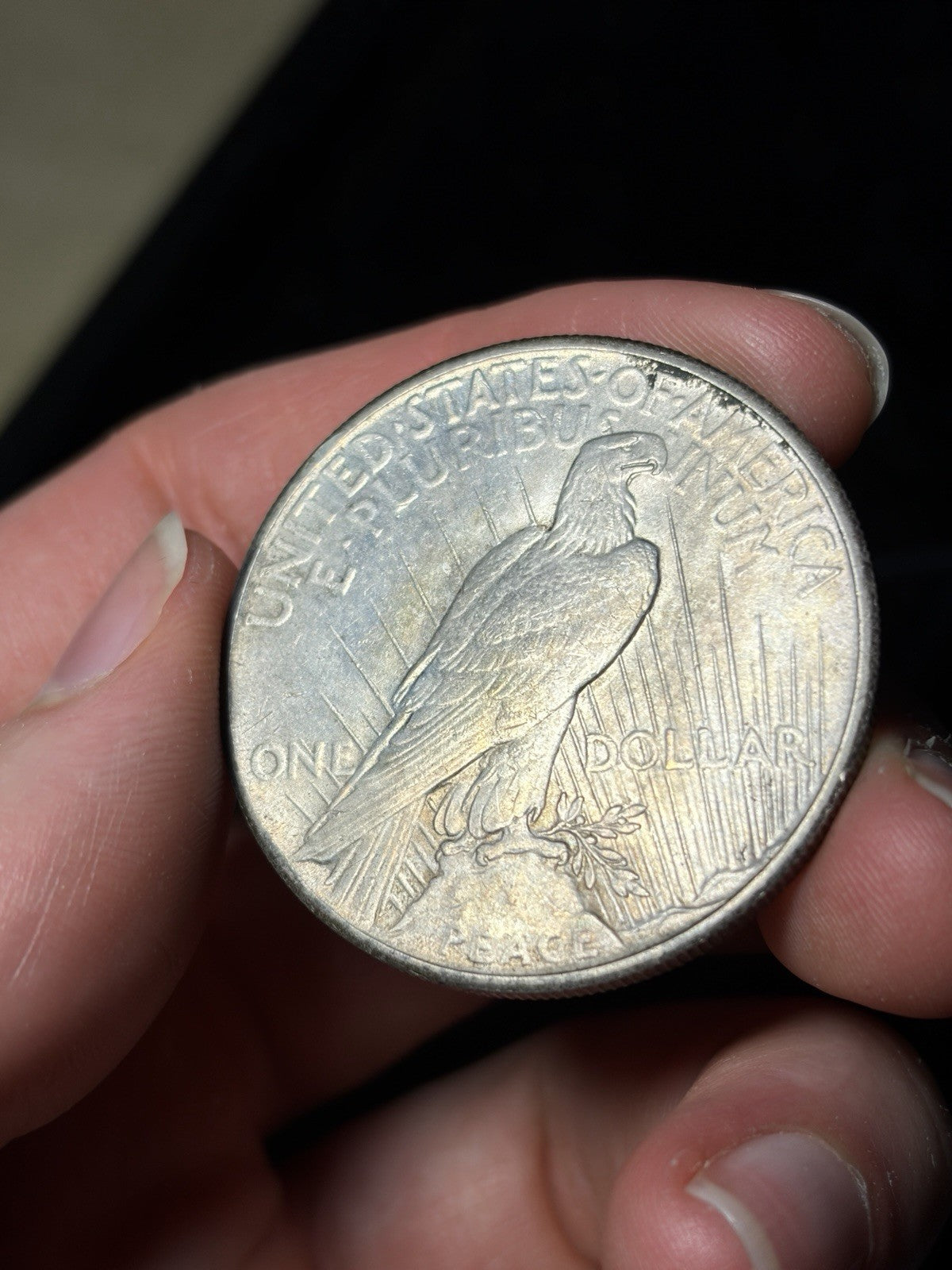 1928 Peace Silver Dollar