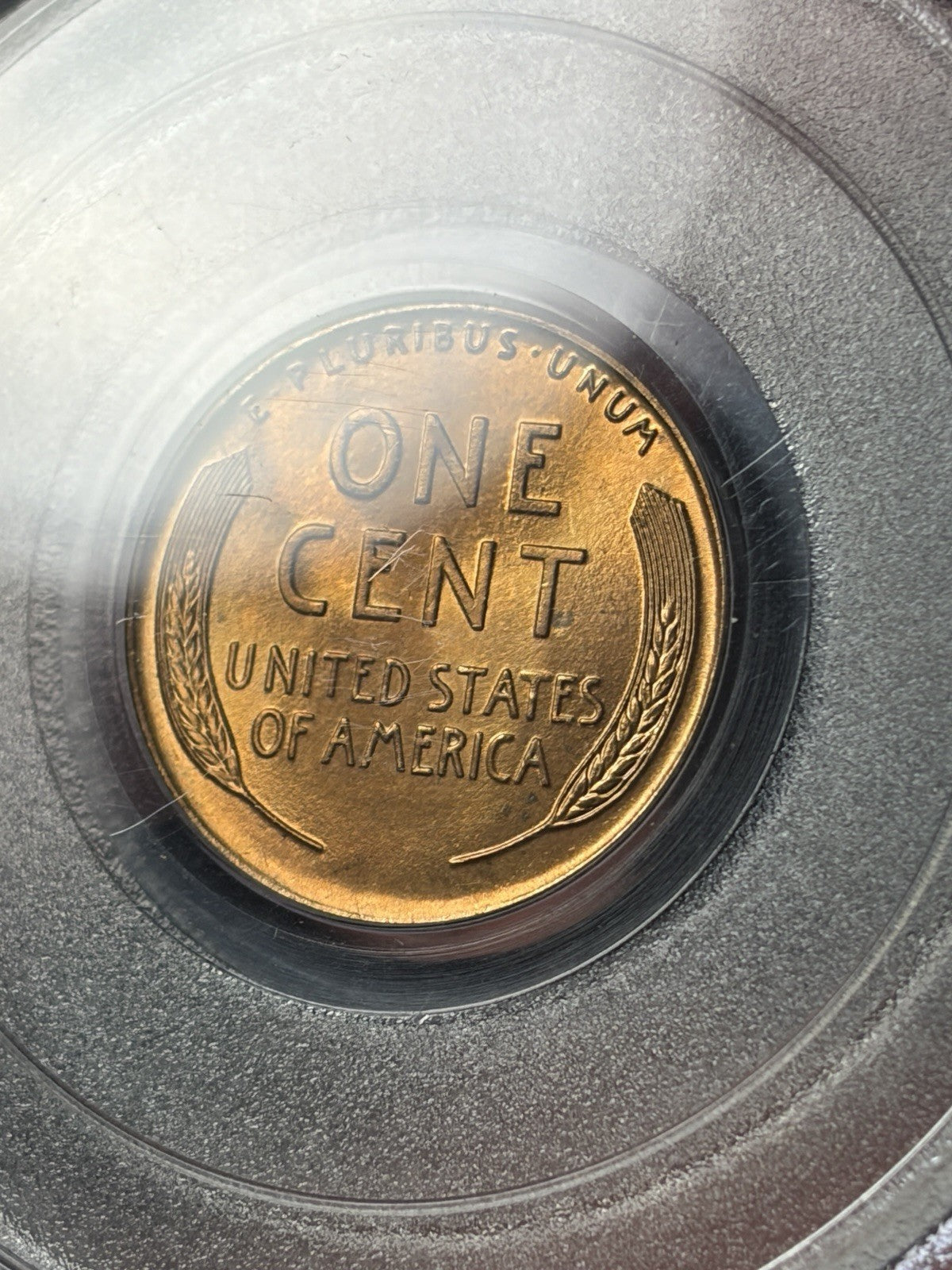 1926 PCGS MS65 RD CAC Lincoln Wheat Cent Old Blue Holder