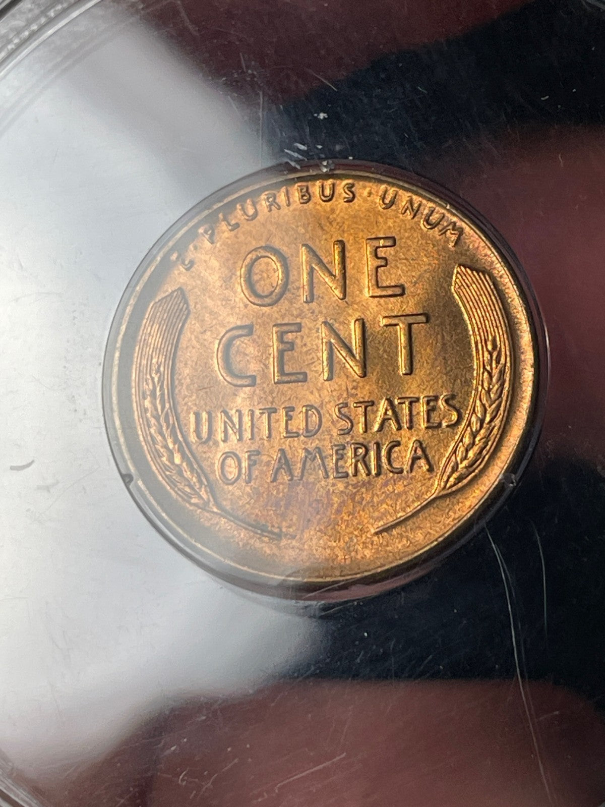 1934-D PCGS MS65 RD Lincoln Wheat Cent Old Rattler Holder
