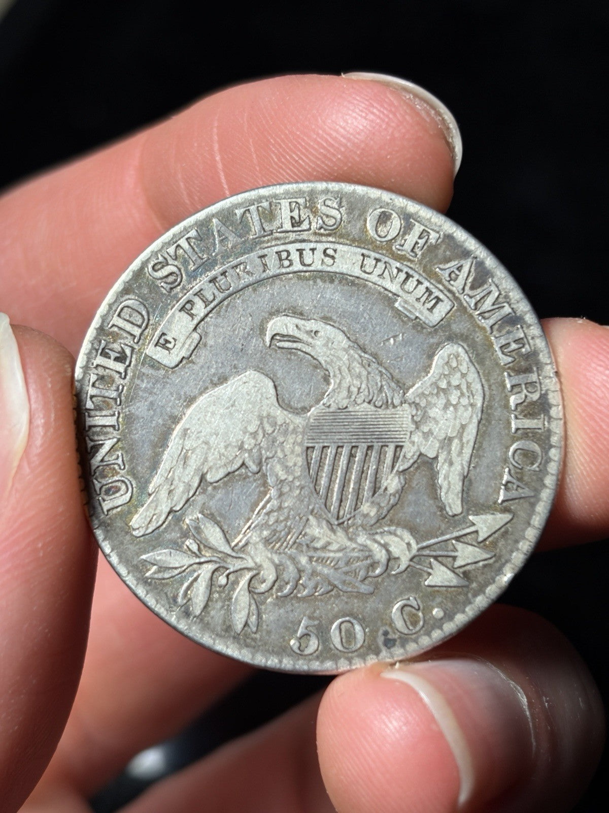 1819 Capped Bust Half Dollar Toned
