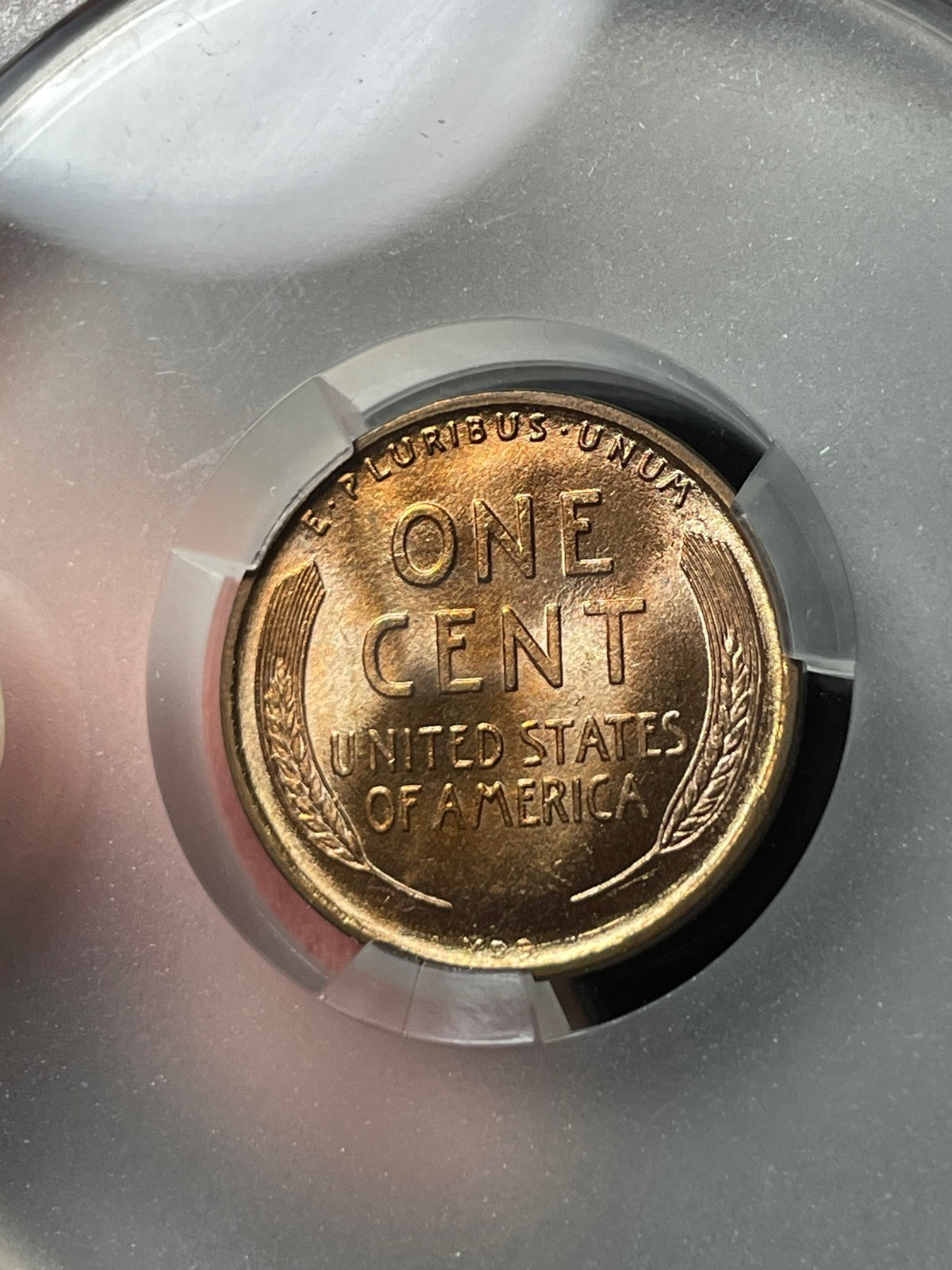 1909 VDB CACG MS66 RD Lincoln Wheat Cent Nice Coin