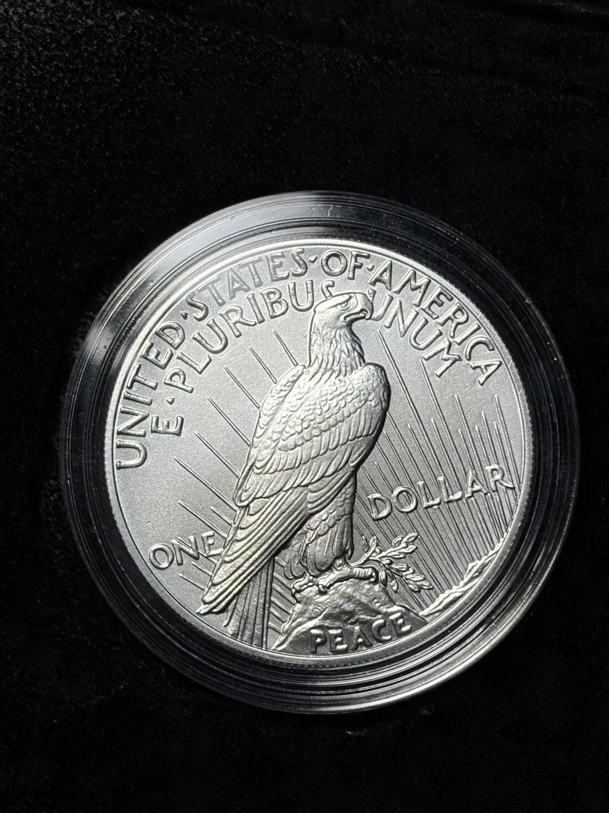 2021 Peace Silver Dollar with OGP