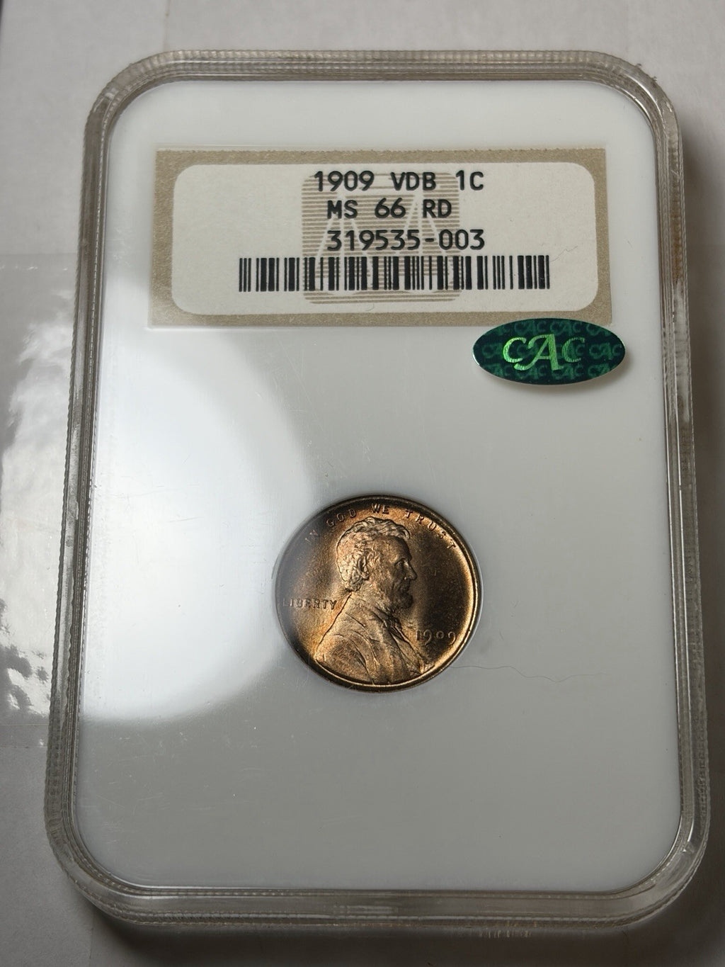 1909 VDB NGC MS66 RD CAC Lincoln Wheat Cent Old Fatty Holder