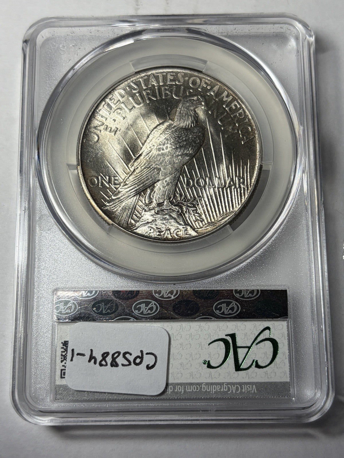 1921 CACG MS64 Peace Silver Dollar