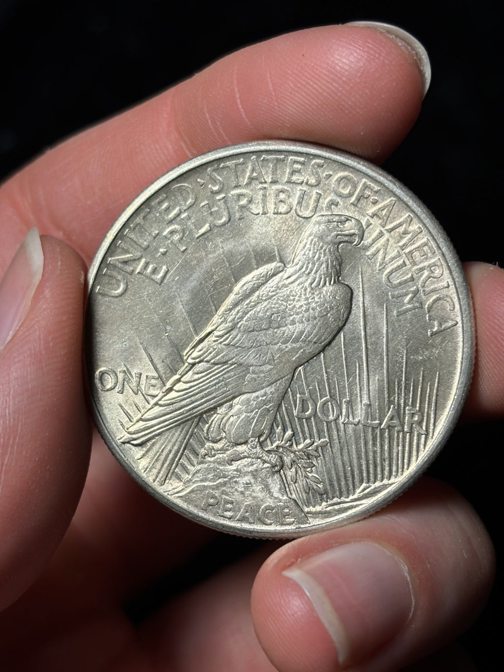 1921 Peace Silver Dollar