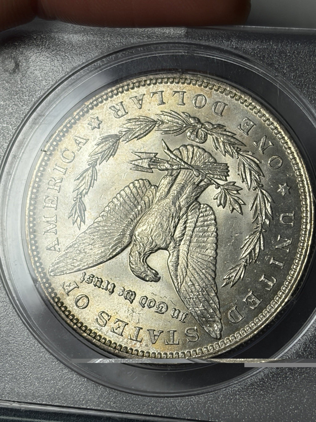 1892 PCGS MS65 Morgan Silver Dollar Toned Rattler WOW