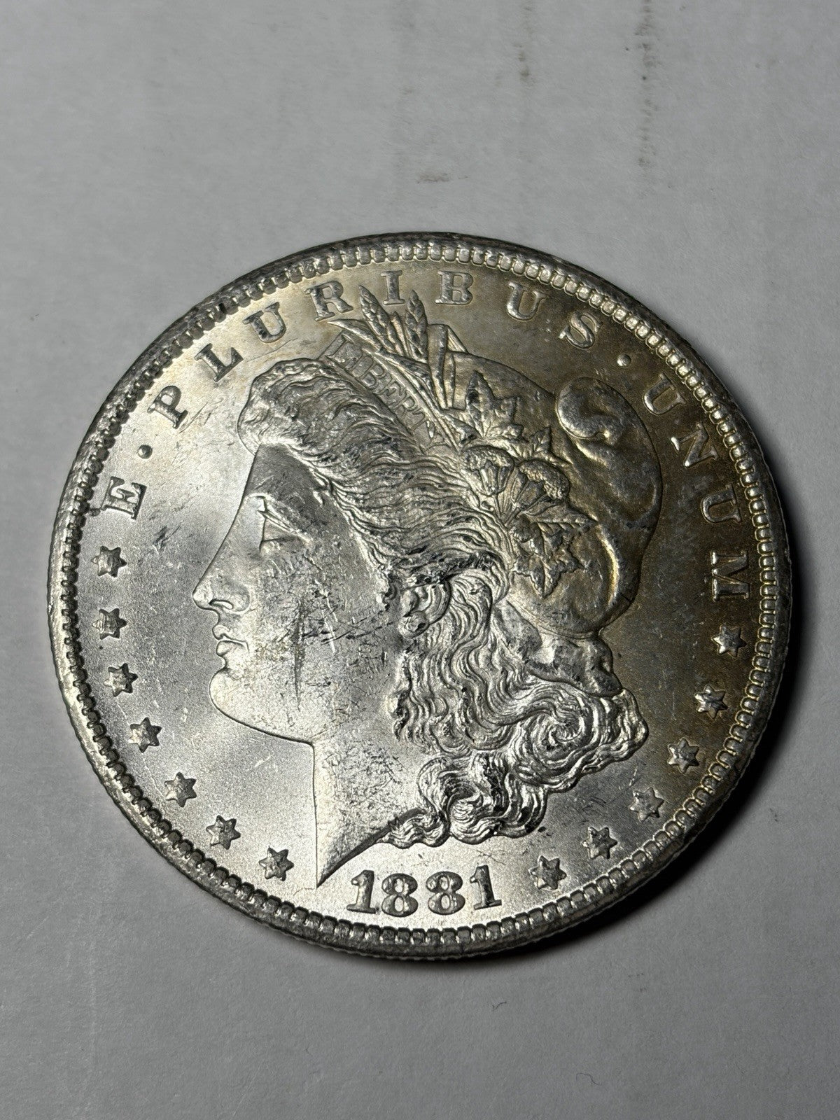 1881-CC Morgan Silver Dollar Uncirculated Toned