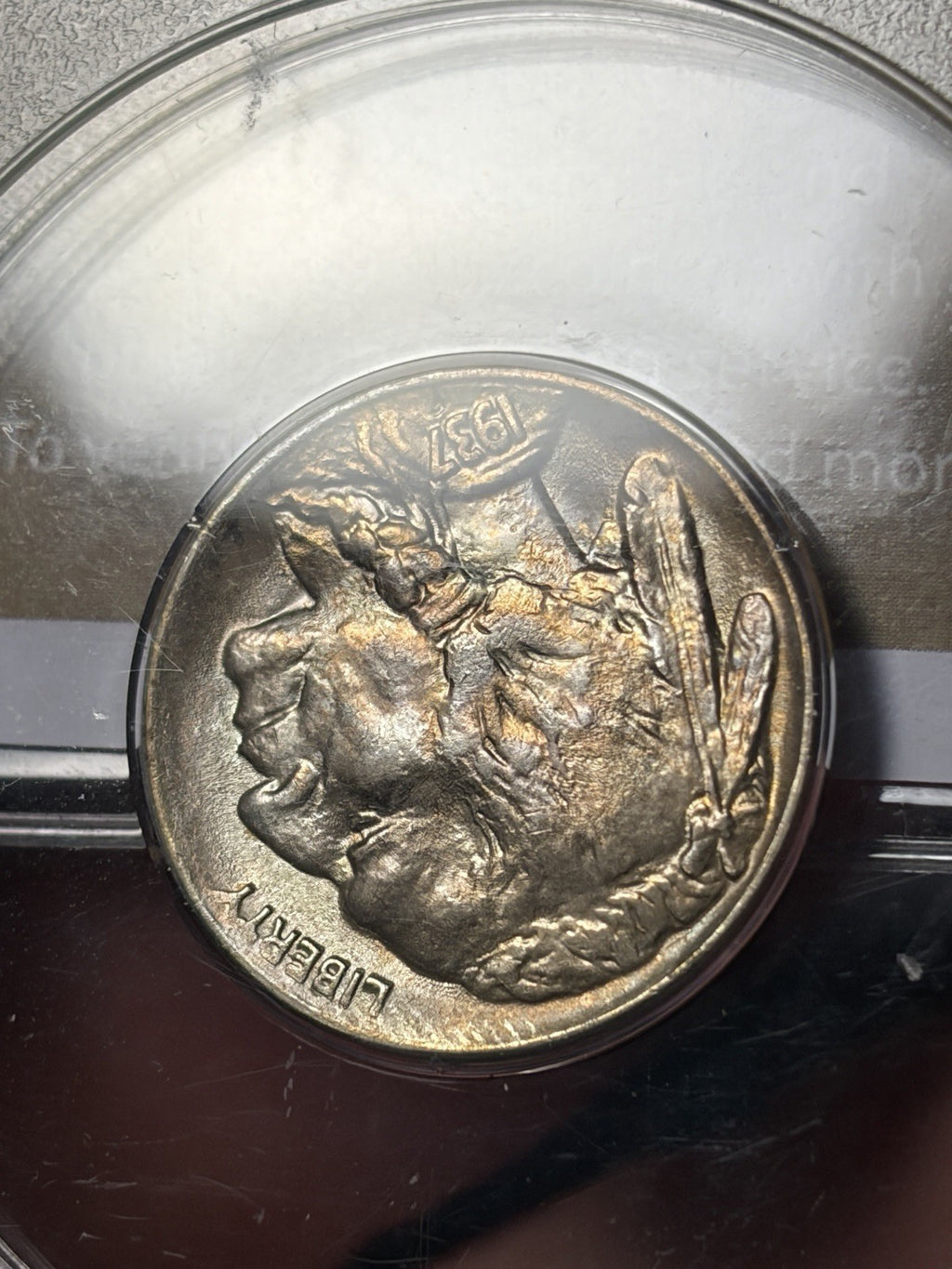 1937-D PCGS MS65 GOLD CAC Buffalo Nickel Rattler Holder