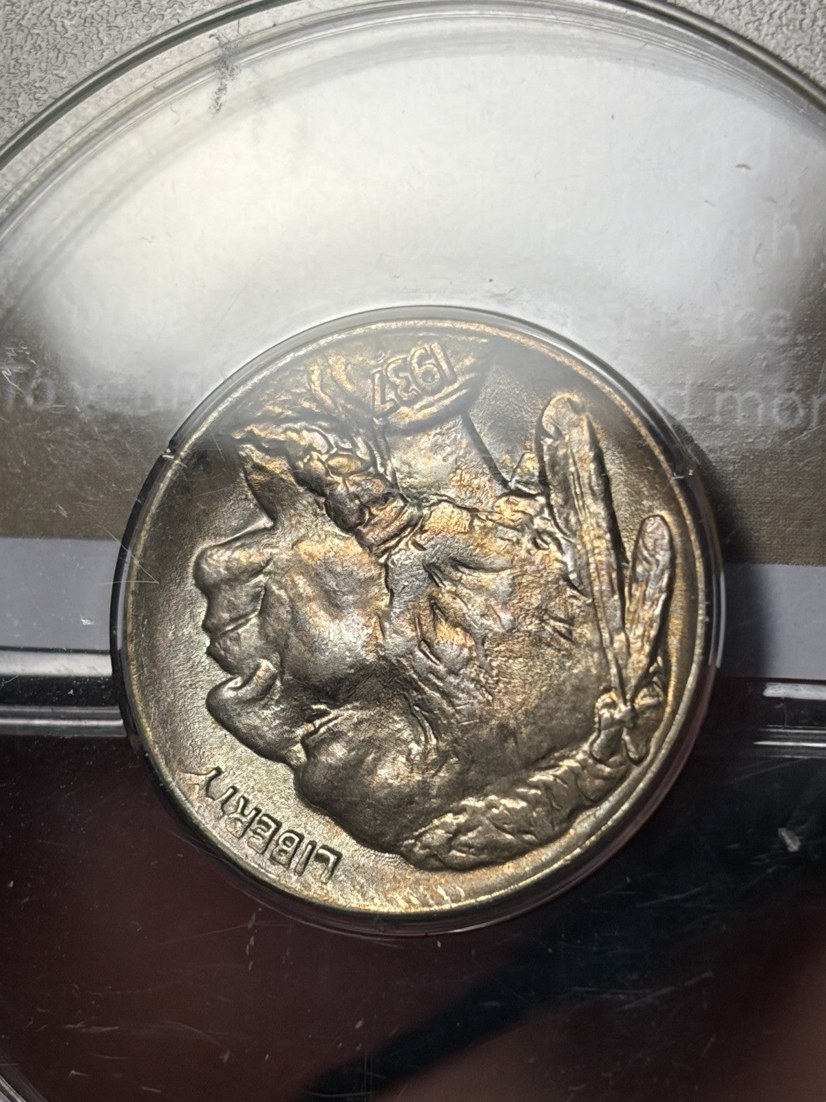1937-D PCGS MS65 GOLD CAC Buffalo Nickel Rattler Holder