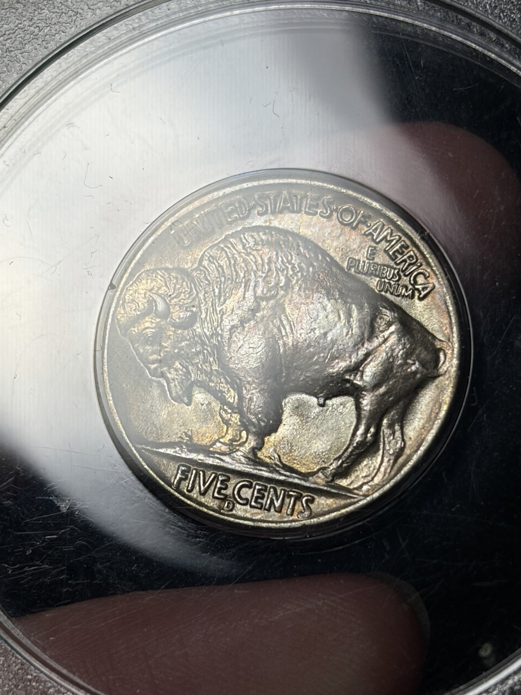 1937-D PCGS MS65 GOLD CAC Buffalo Nickel Rattler Holder