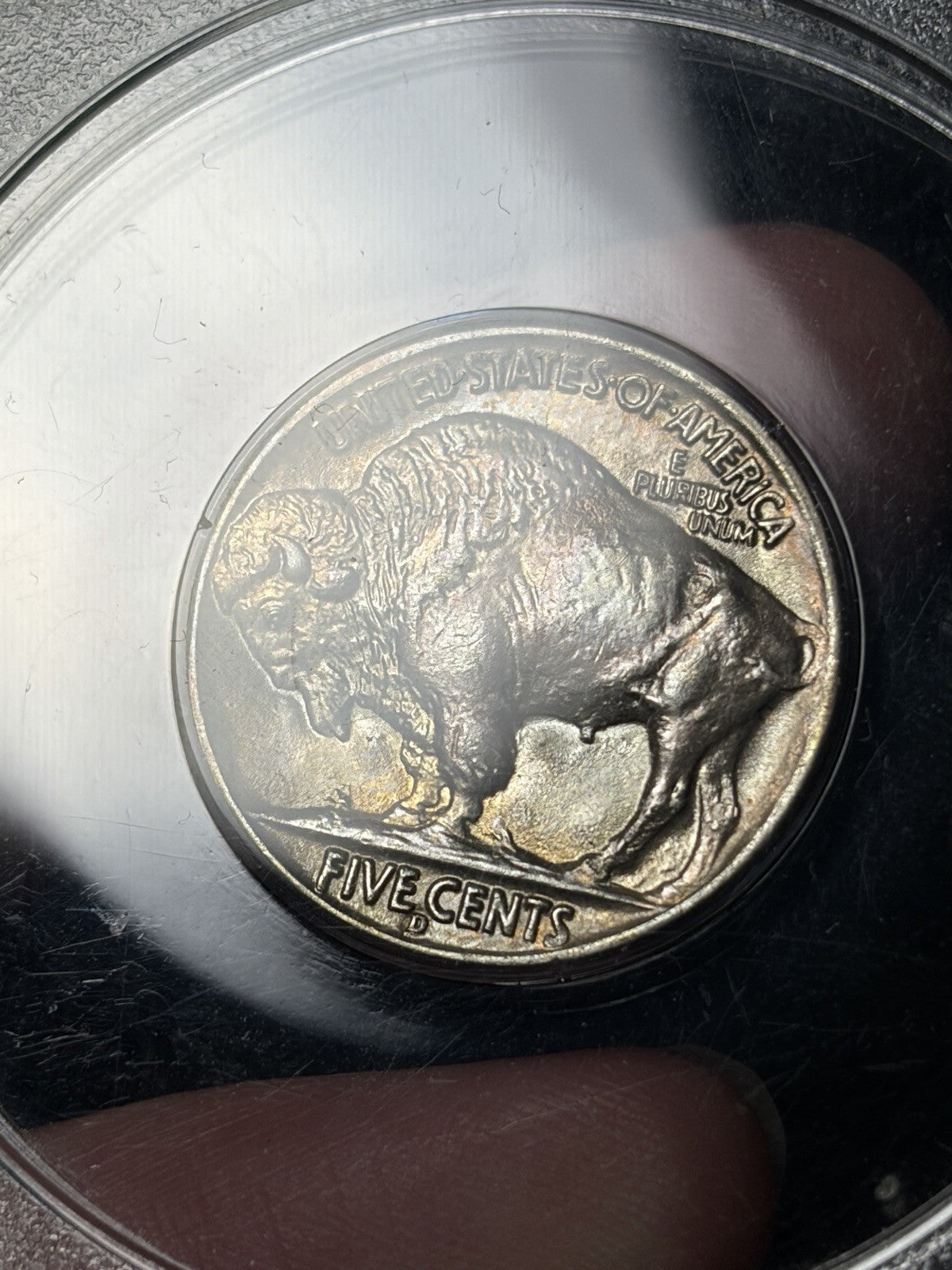 1937-D PCGS MS65 GOLD CAC Buffalo Nickel Rattler Holder